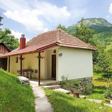 Farmstead Green Haven Mojkovac Bagian luar foto