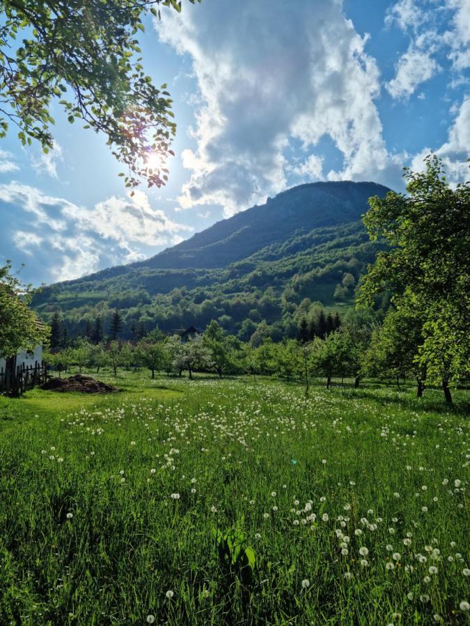 Farmstead Green Haven Mojkovac Bagian luar foto