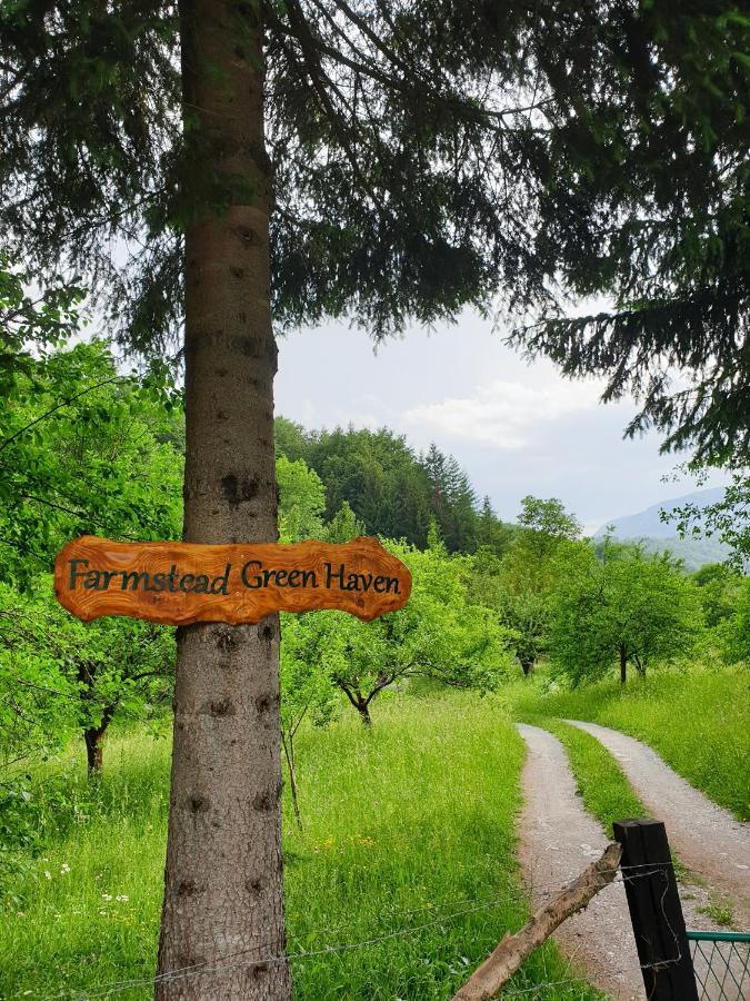 Farmstead Green Haven Mojkovac Bagian luar foto