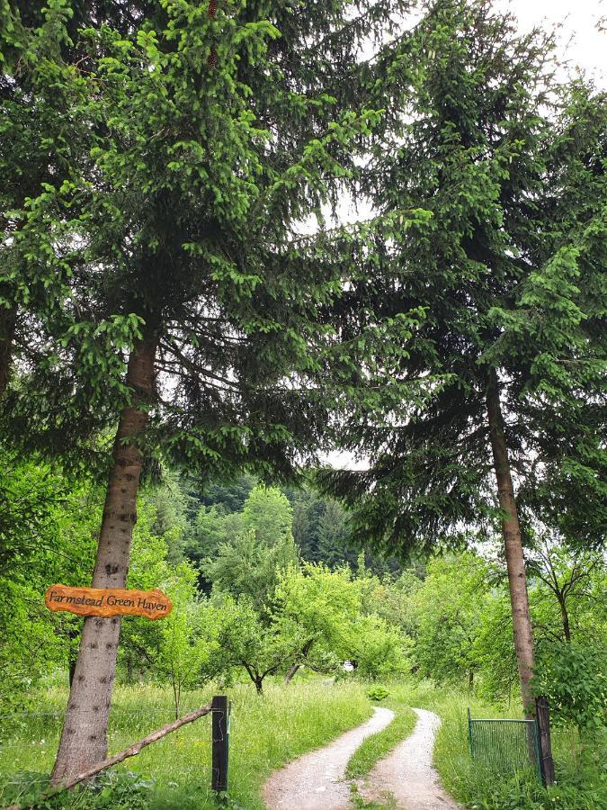 Farmstead Green Haven Mojkovac Bagian luar foto