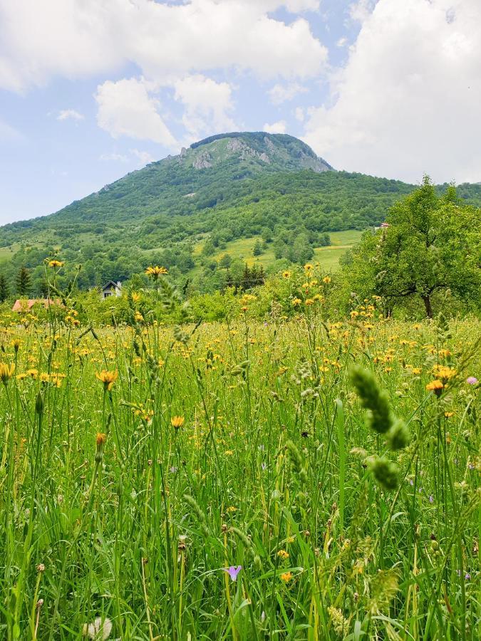Farmstead Green Haven Mojkovac Bagian luar foto