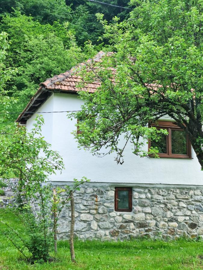 Farmstead Green Haven Mojkovac Bagian luar foto