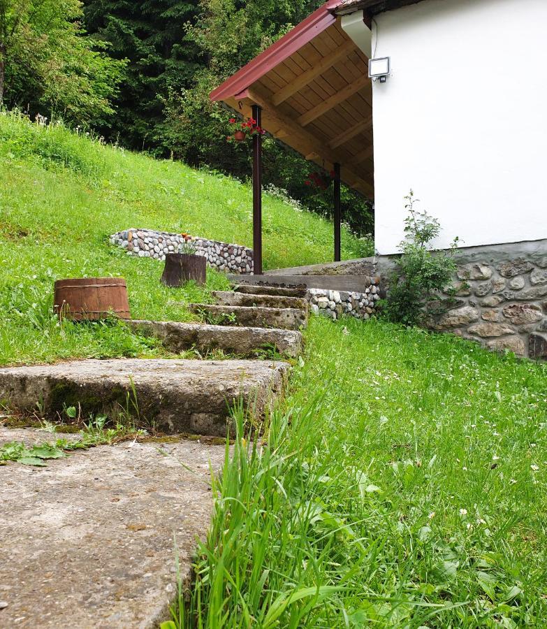 Farmstead Green Haven Mojkovac Bagian luar foto