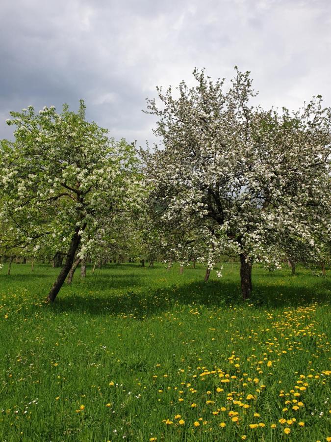 Farmstead Green Haven Mojkovac Bagian luar foto