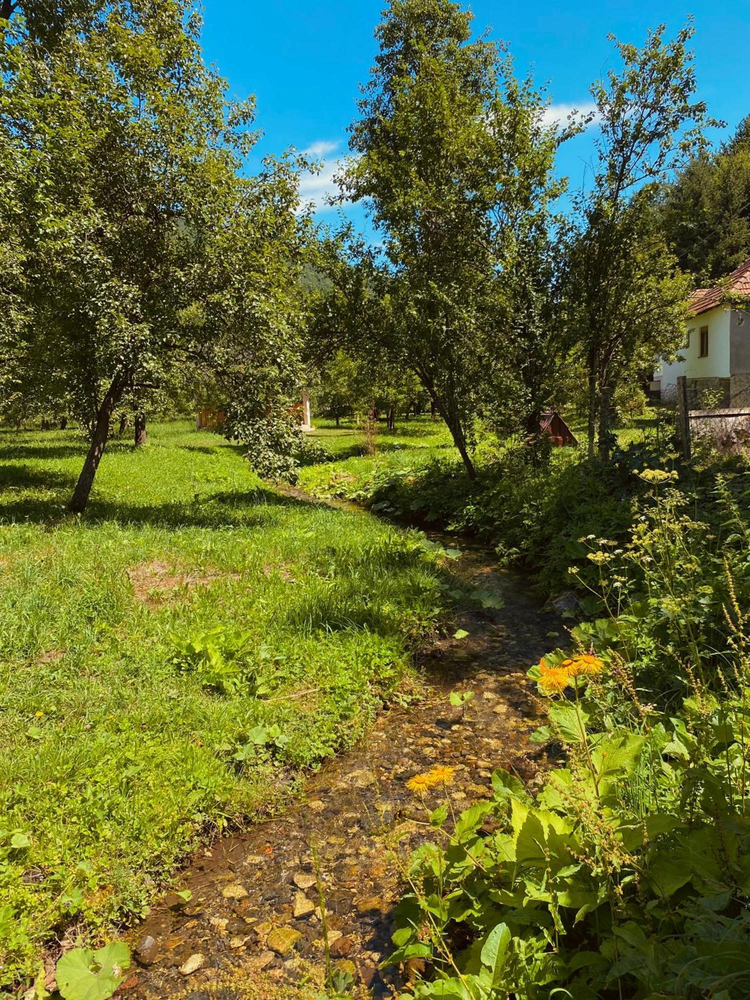 Farmstead Green Haven Mojkovac Bagian luar foto