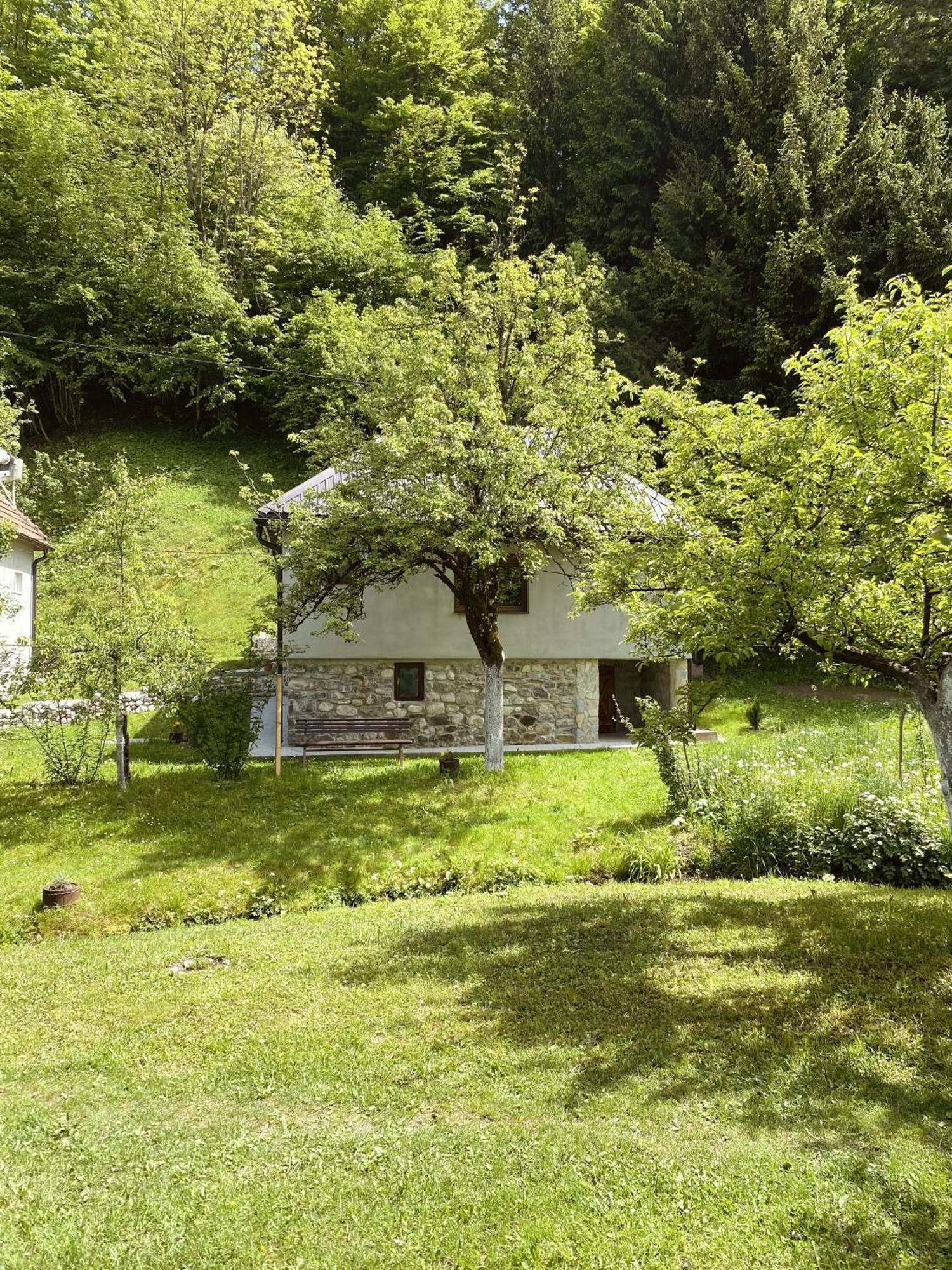 Farmstead Green Haven Mojkovac Bagian luar foto