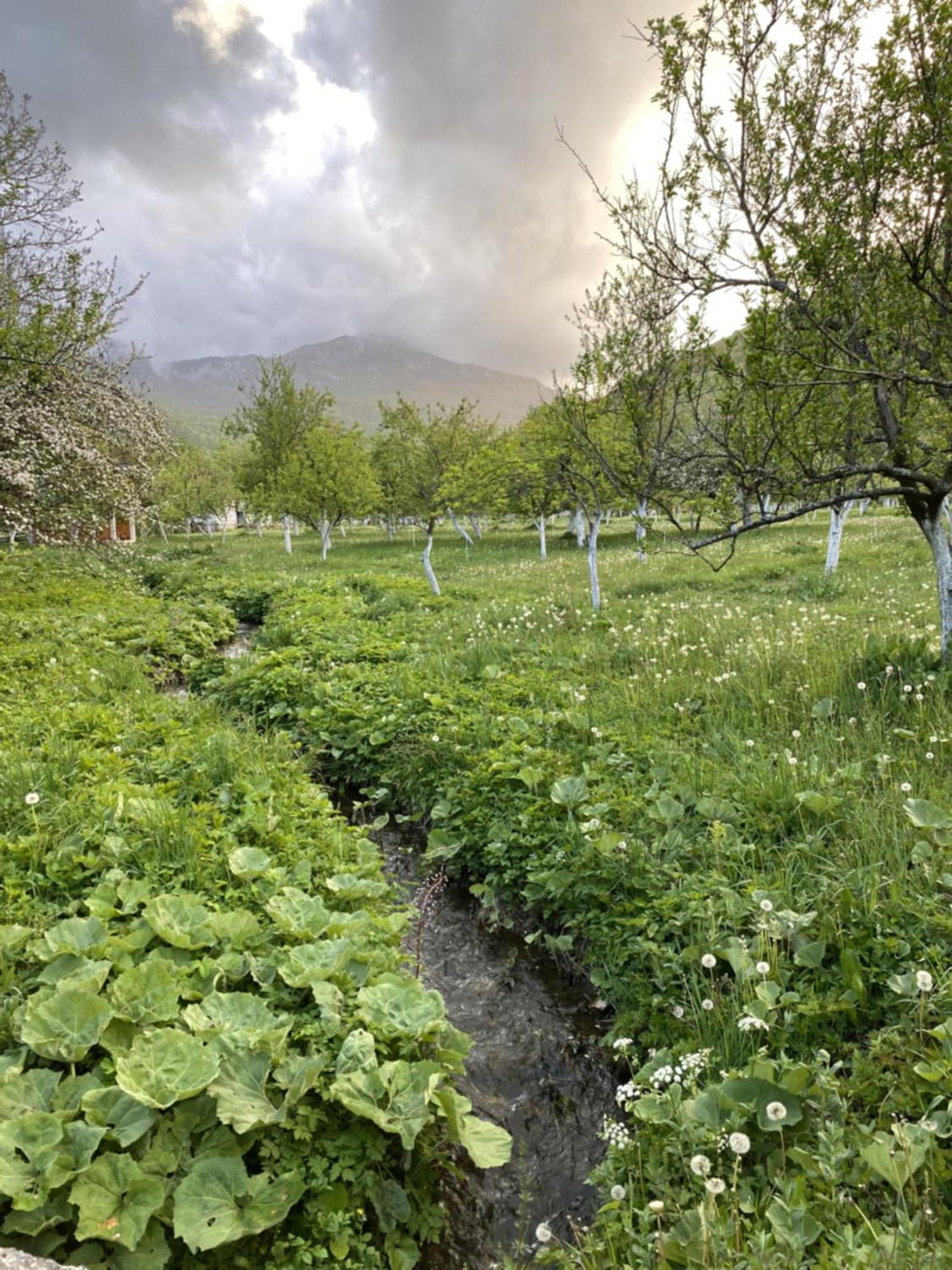 Farmstead Green Haven Mojkovac Bagian luar foto